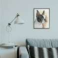 thumbnail image 4 of Stupell Industries Boston Terrier Pet Dog Portrait Black Brown Grey Framed, 16 x 20, Design by George Dyachenko, 4 of 4