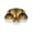 Gold, variant on SC13282GD Artcraft Lighting Morning Mist - 3 Light Semi-Flush Mount