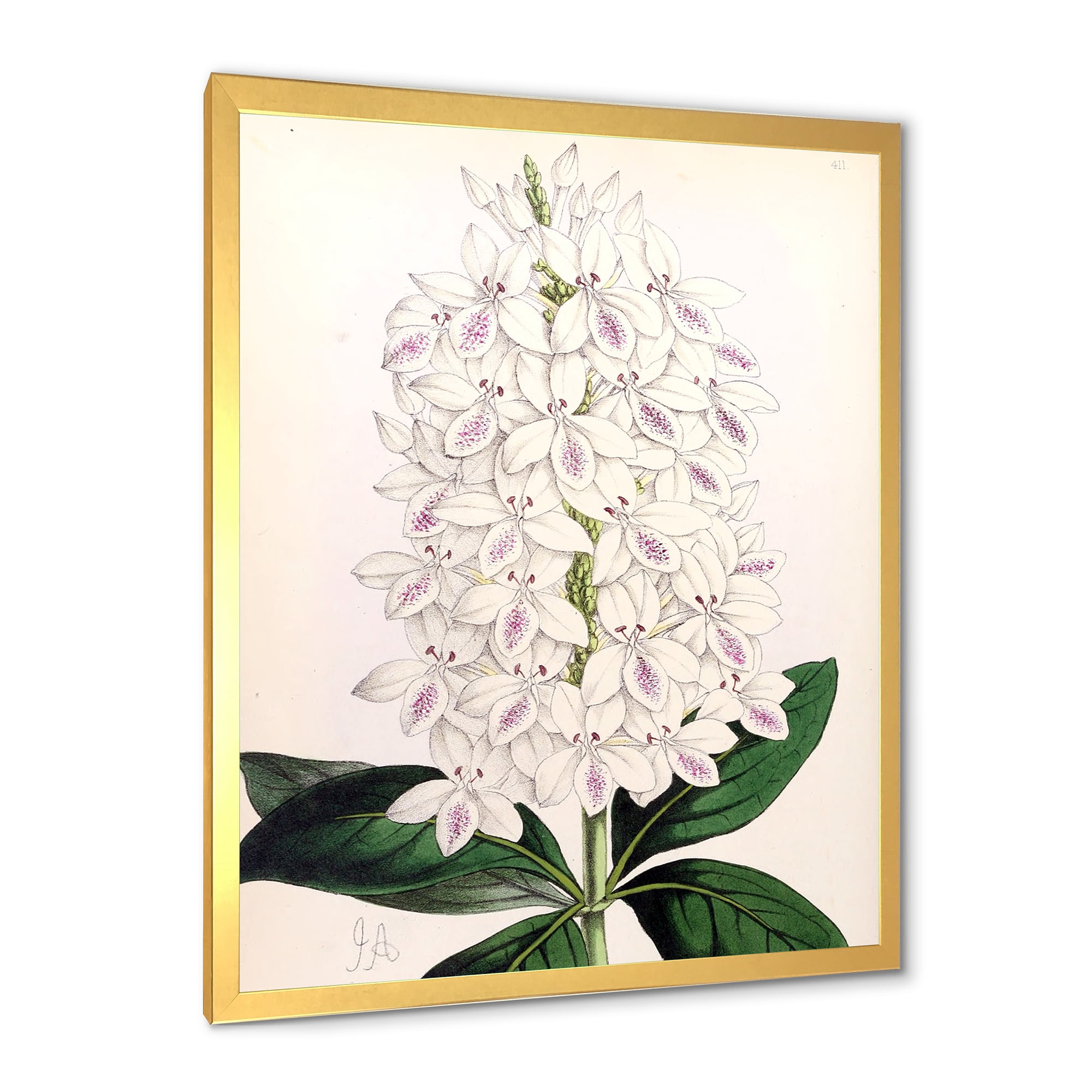 Designart 'Ancient White Orchid III' Traditional Framed Art Print