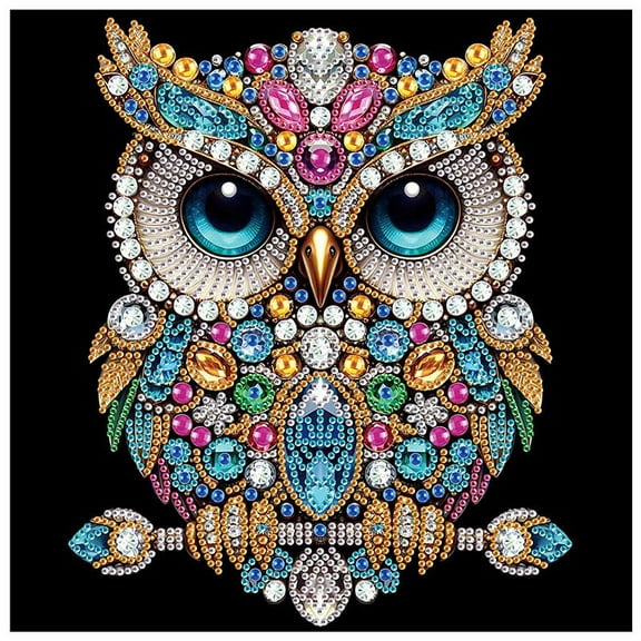 5D DIY Diamond Painting Kit Colourful Owl Creative Handicraft for Home Wall Decor, Birthday or Christmas Gift