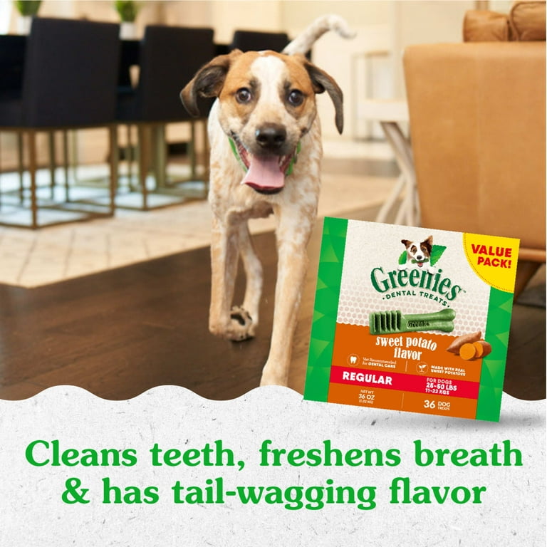 Free Shipping! GREENIES Large Dog Dental Treats with Sweet Potato