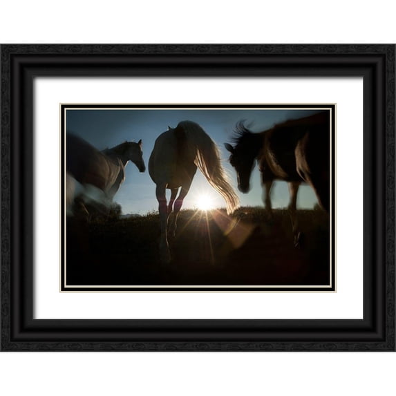 Malovrh, Milan 18x13 Black Ornate Wood Framed with Double Matting Museum Art Print Titled - Sunrise