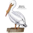 thumbnail image 3 of CafePress - White Pelican Mug - 11 oz Ceramic Mug - Novelty Coffee Tea Cup, 3 of 6