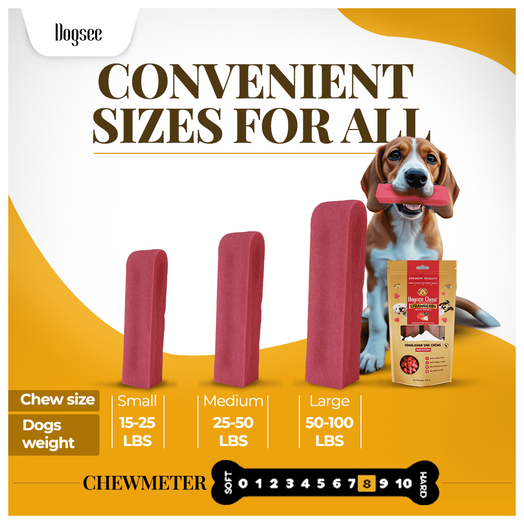 Dogsee Yak Cheese Chews Large Dogs Strawberry Dental Care Immunity 4 Bars
