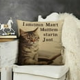 thumbnail image 2 of SHANXI Cat Mom Gifts Pillow Covers ,Cat Throw Pillows,Cat Mom Gifts for Women,Gifts for Cat Owners, Cat Mom Gifts,Gifts for Cat Mom,Cat Decor Decorations for Cat Lovers,Cat Decor for Home 20x20in, 2 of 5