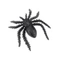 thumbnail image 4 of Rdeghly Visionneuse d'Insectes Bidirectionnelle, Jouets Éducatifs 4x Grossissants pour Enfants, 4 of 11