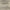 Beige/Grey, variant on Nourison Concerto Rustic Beige/Grey 5'3" x 7'3" Area Rug, (5x7)
