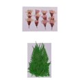 thumbnail image 1 of 24X Multi Real Dry Press Flower Flores secas prensadas naturales Hojas para uñas Arte Artesanal Jabón hecho Resina Materiales para j, 1 of 9