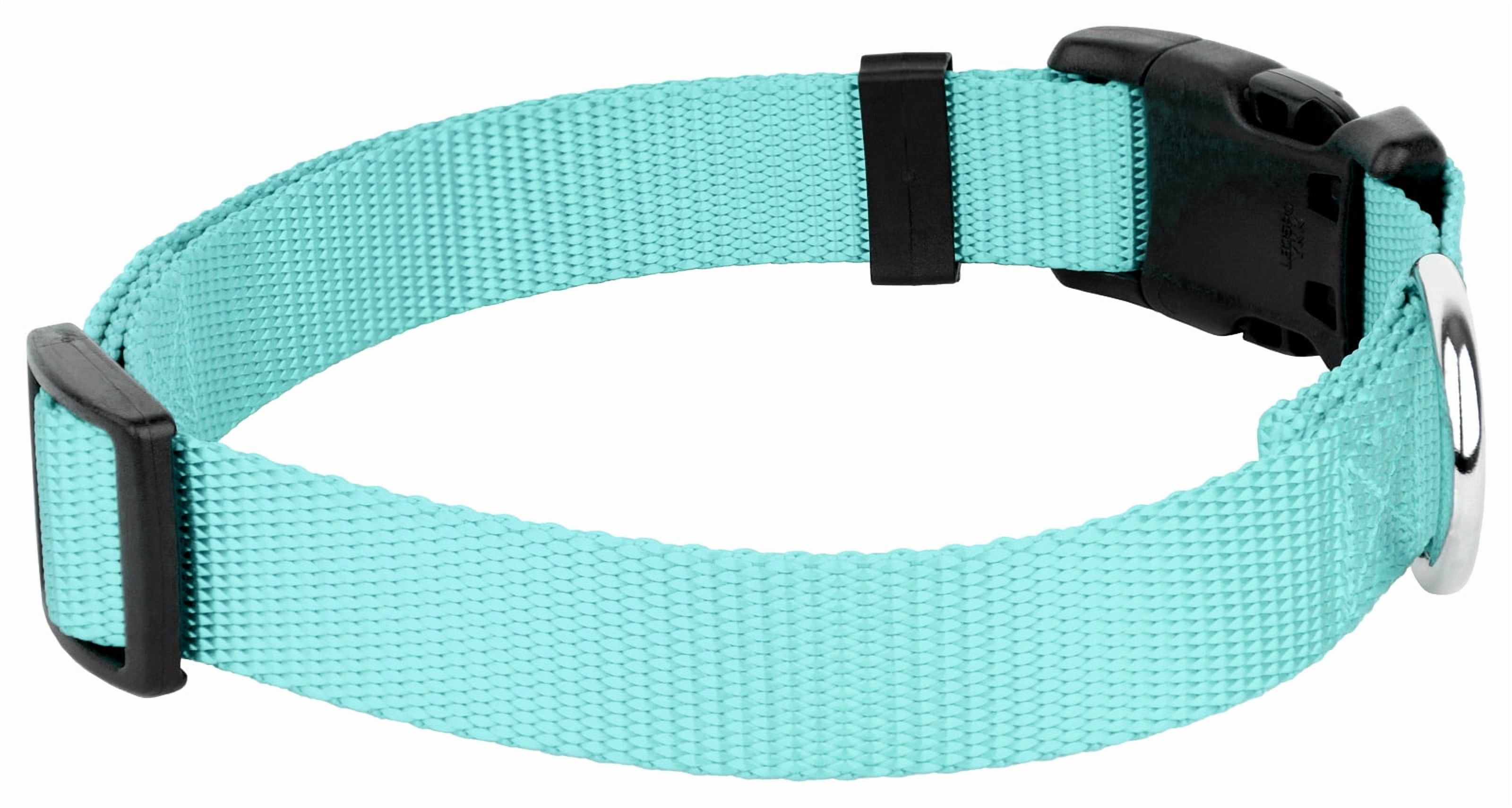 Country Brook Petz® Light Cyan Everyday Nylon Dog Collar and Leash, Medium