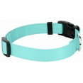 thumbnail image 7 of Country Brook Petz® Light Cyan Everyday Nylon Dog Collar and Leash, Small, 7 of 7
