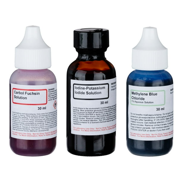 AmScope Simple Stain Kit of Three Chemicals for Preparing Microscope
