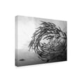 thumbnail image 2 of Yumian Deng 'Barracuda Tornado' Canvas Art, 2 of 3