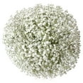 thumbnail image 1 of Bulk Baby’s Breath, 120 Stems, 1 of 1