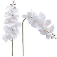 thumbnail image 4 of 3Pcs/6Pcs Artificial Orchid Stems Real Touch Orchid 38 inch Tall Fake Butterfly Phalaenopsis Flower for Vase Home Wedding Decoration, 4 of 9
