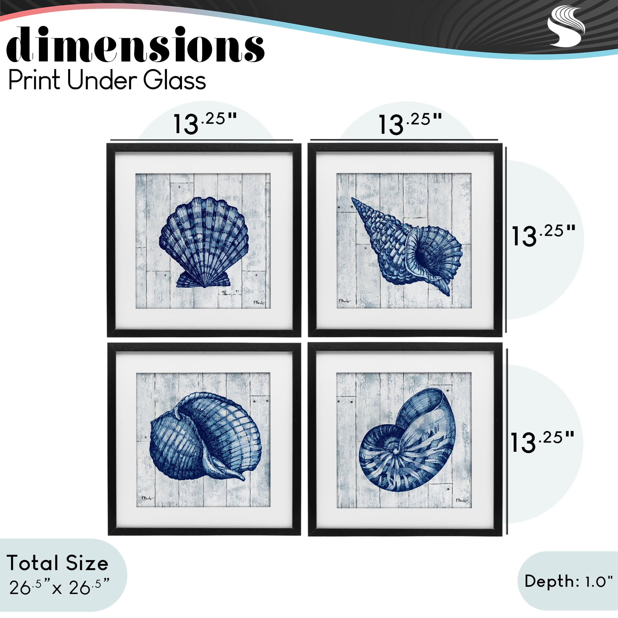 Stupell Industries Coastal Timberland Seashells 4 Piece Black Framed Print Under Glass Set, design by Paul Brent