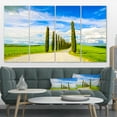 thumbnail image 1 of White Road through Cypress Trees - Oversized Landscape Wall Art Print, 1 of 3