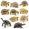 thumbnail image 3 of OUTOP Réaliste Tortue Action Figure Réaliste Amphibien Reptile Modèle Ornements pour les Enfants Cadeaux Décoration de la Maison, 3 of 9