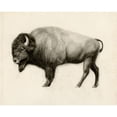 thumbnail image 3 of Borges, Victoria 24x20 Black Modern Framed Museum Art Print Titled - High Plains II, 3 of 5
