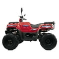 thumbnail image 4 of MOTOCICLETA DINAMO ATV XTREME RLX 200 CC ROJO, 4 of 4
