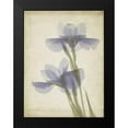 thumbnail image 2 of Stalus, Judy 12x14 Black Modern Framed Museum Art Print Titled - Parchment Flowers VIII, 2 of 5