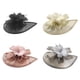 thumbnail image 1 of 4 piezas de sombreros de malla tocados para mujeres y niñas elegantes flores Negro Beige Rosa Gris, 1 of 9