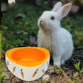 thumbnail image 2 of tredstone Non Slip Rabbit Feeder Bowl Feeding Basin for Hedgehog Gerbils Puppy Kitten 11cmx4.5cm Triangle, 2 of 9