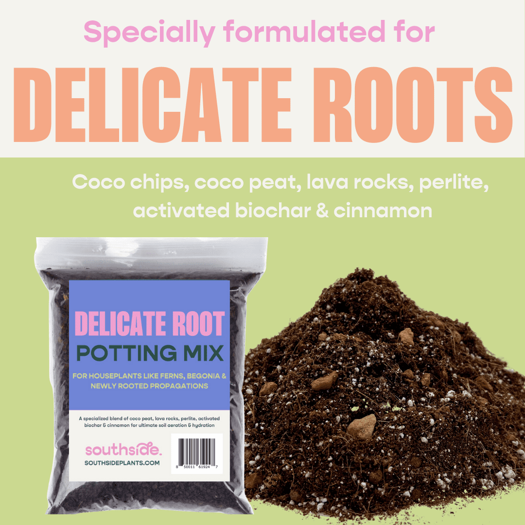 Delicate Root Potting Mix - Organic Mix of Coconut Chips, Coir, Horticultural Charcoal & Chunky Perlite