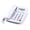 White, variant on Osdhezcn Desk Phone Caller Display For Conference Calls Caller Display Speakerphone