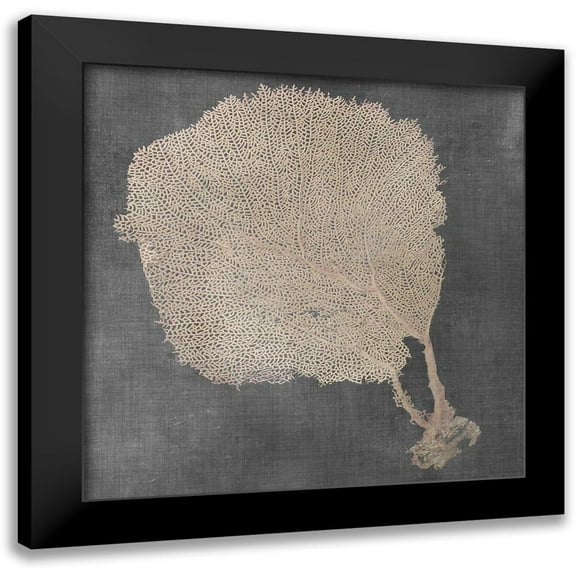 Vision Studio 12x12 Black Modern Framed Museum Art Print Titled - Natural Sea Fan II