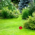 thumbnail image 4 of icolorfuled Red Reflective Gazing Ball for Decor Polished Smooth Portable and Lightweight Stainless Steel, 4 of 6