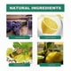 thumbnail image 5 of 3-Pack Ear Health Drops for Enhanced Hearing Support, 5 of 5