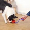 thumbnail image 6 of BESTSKY Interactive Dog Toys Crate Training for Puppies Puzzle Dispenser with Rope Reduce Stress Anxiety Dog Food Dispenser Toys, 6 of 7