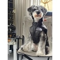 thumbnail image 4 of Dog Clothes Autumn Winter Dog Jacket Teddy Schnauzer Bomei Corgi Pet Black Warm Down Vest Dog Clothes for Small Big Dogs ShopWise Round, 4 of 8