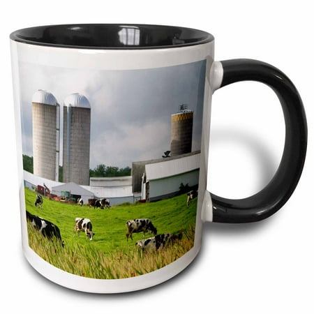 3dRose Dairy cow farm, Taylor County, Wisconsin, USA - US50 DFR0048 - David R. Frazier - Two Tone Black Mug,
