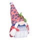 thumbnail image 1 of Gnomos patrióticos interesantes gnomos del 4 de julio para la bandeja de niveles de cocina Octpeak Otros, 1 of 8