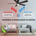 thumbnail image 3 of CARRO Joule 52-inch Indoor/Outdoor Smart Ceiling Fan, Dimmable LED Light Kit and Remote, Works with Alexa/Google Home/Siri, 3 of 5