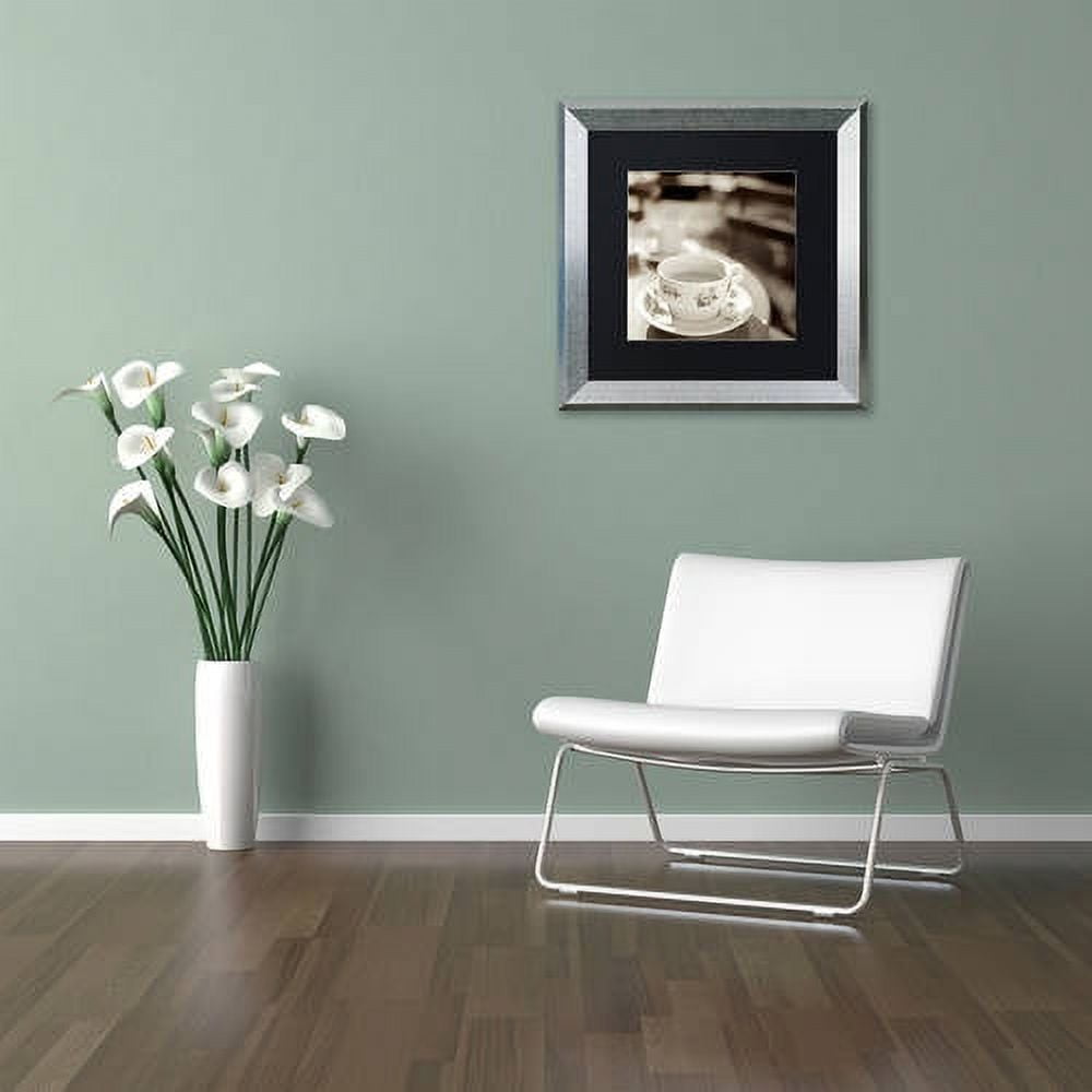 Trademark Fine Art "Jardin du Luxembourg II" Canvas Art by Alan Blaustein, Black Matte, Silver Frame