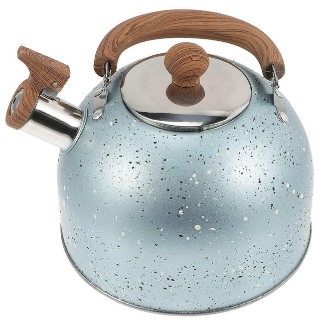 Blue Stainless Steel Water Kettle for Home Use with Comfortable Handle and 2L