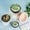 A1, variant on Flowerpots with Dish Ceramic, Plastic Pots for Plants with Saucers Indoor Set of 1 Plastic Modern Flower Pot with Hole for All House Plants Herbs Flowers and Seeding Nursery, Flower Pots