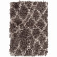 thumbnail image 3 of Surya RHA-1017 Shag Area Rug - Brown / Parchment, 3 of 5