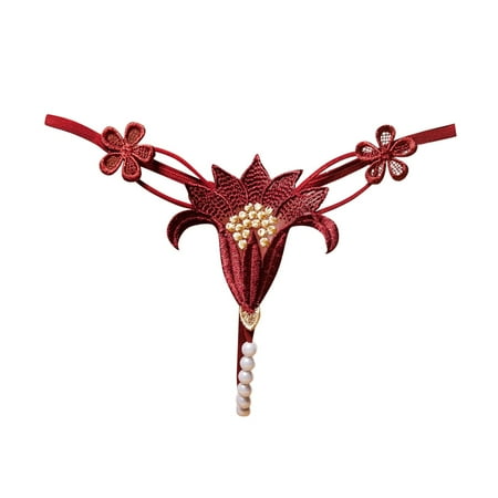 

Women Exotic Lingerie Embroidered Loose Thong Transparent All Season Casual Daily Holiday Beach Vacation Sleepwear Underwear Valentine s Day Gift