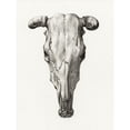 thumbnail image 3 of Bernard, Jean 15x18 Black Modern Framed Museum Art Print Titled - Skull of a cow, 3 of 5
