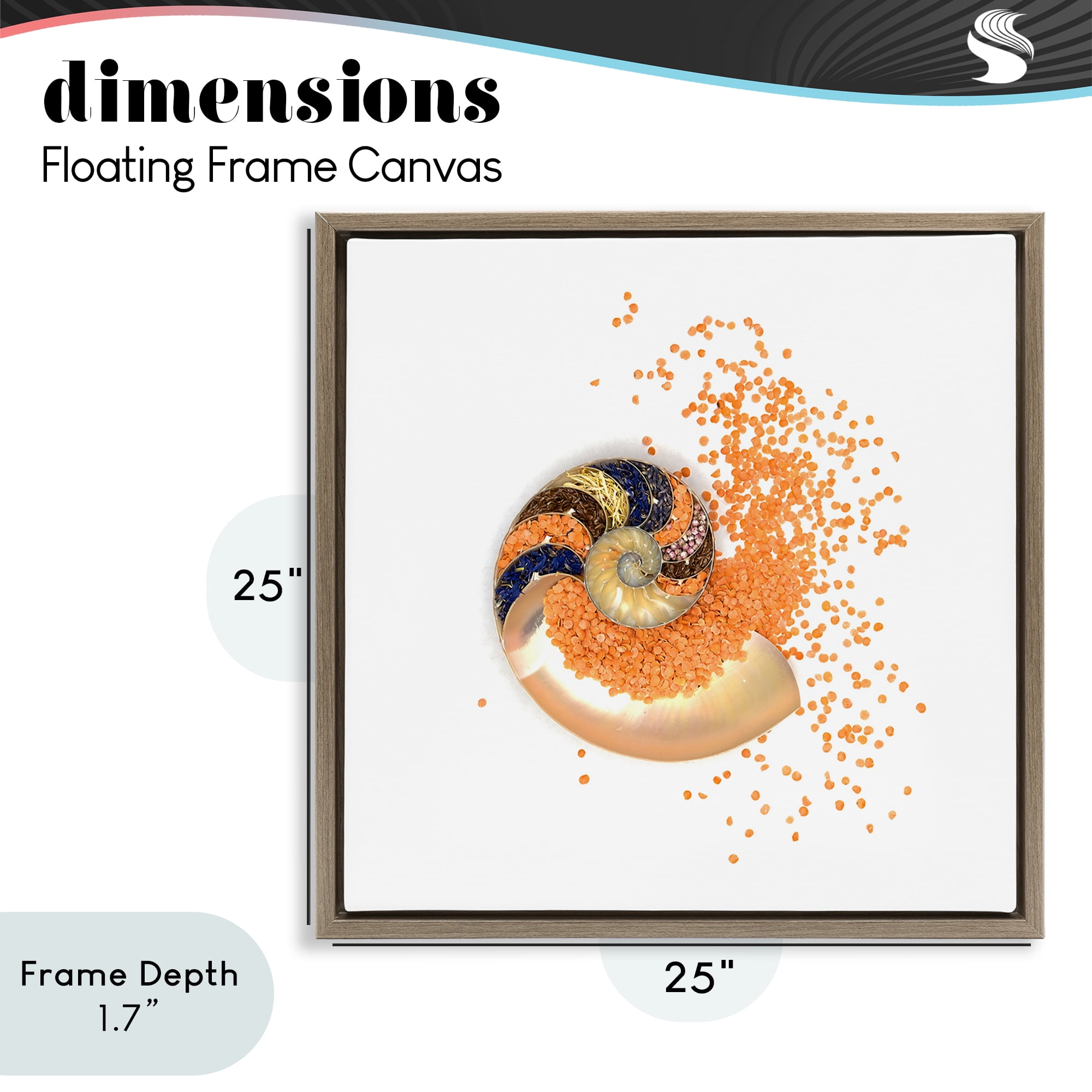Stupell Industries Orange Nautilus Spiral Brown Framed Floater Canvas Wall Art, design by Beth Adoette