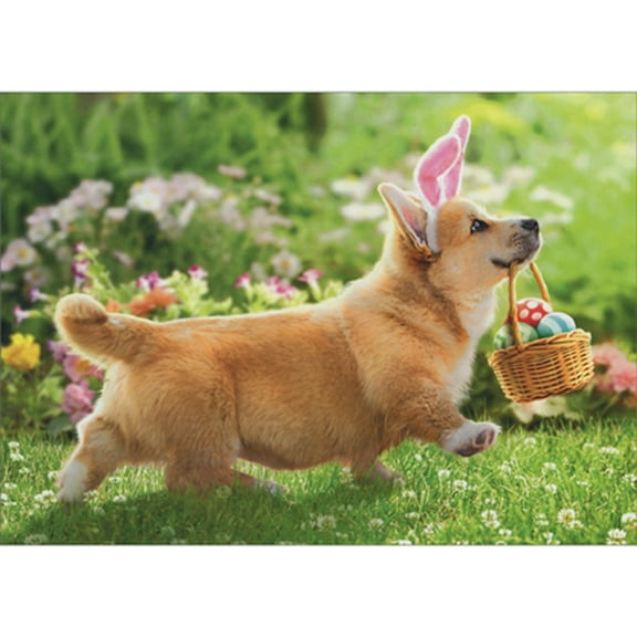 Avanti Press Corgi with Pink Bunny Ears Walking with Basket of Eggs in Mouth Easter Card