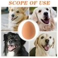 thumbnail image 7 of AURARMLET 10pcs Rubber Dog Teeth Cleaning Eggs for Puppies Chewing Toys Outdoor Play Pet Care, 7 of 7