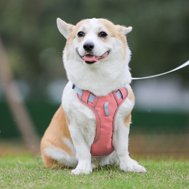 Chaleco de Arnés para perros ANGGREK Arnés ajustable reflectante transpirable rosa