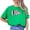 Vintage Green Shirt, variant on Lions Vintage Sports Flag Shirt for Men Women and Teens Unisex Lions Team Mascot T-Shirt Red Shirt Adult X-Large