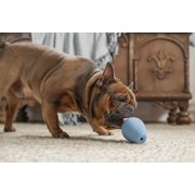 Harry Barker Durable Rubber Treater Dog Toy, Blue, Large