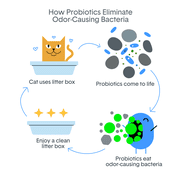 BoxiePro Probiotic Deep Clean Cat Litter with Cat Playhouse, Continuous Odor Control, Clumping Clay Kitty Litter, Low Dust Low Tracking, Odor Eliminating Probiotics, 35 lb