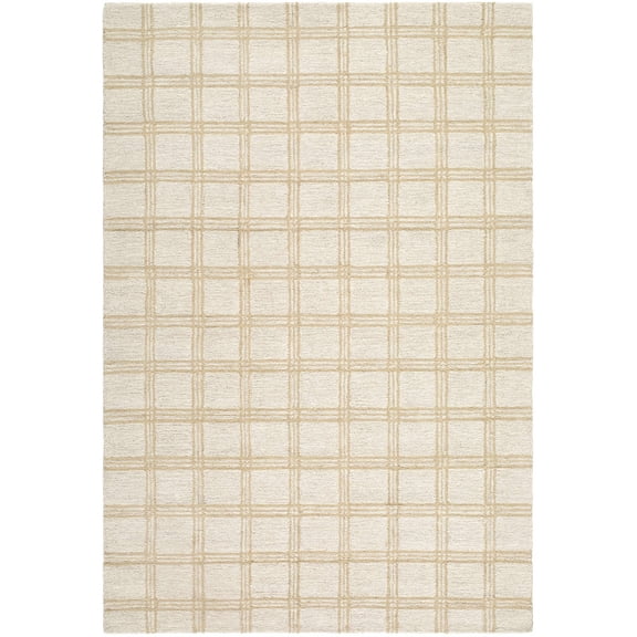 BoutiqueRugs Adagio Bohemian, Transitional Area Rug - Beige, Sandstone, Cream - 2' x 3'